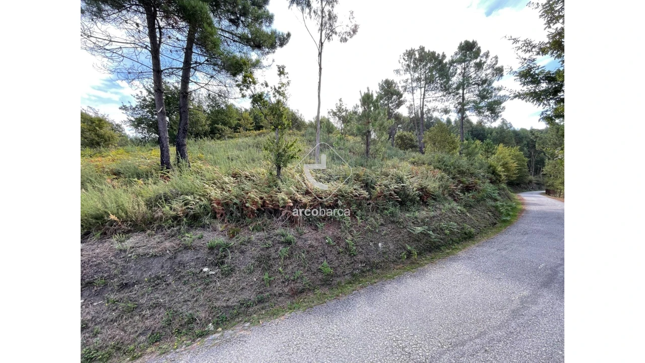 Terreno para Venda em Azere Foto 4