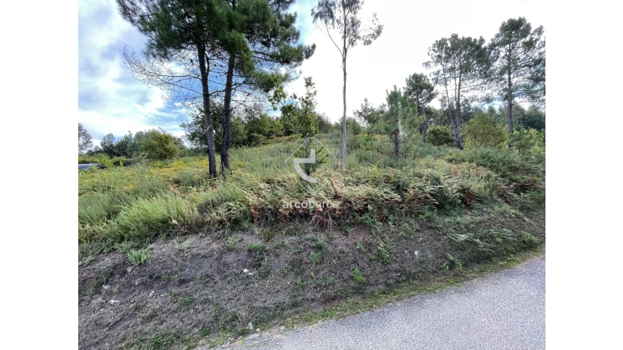 Terreno para Venda em Azere Foto 5