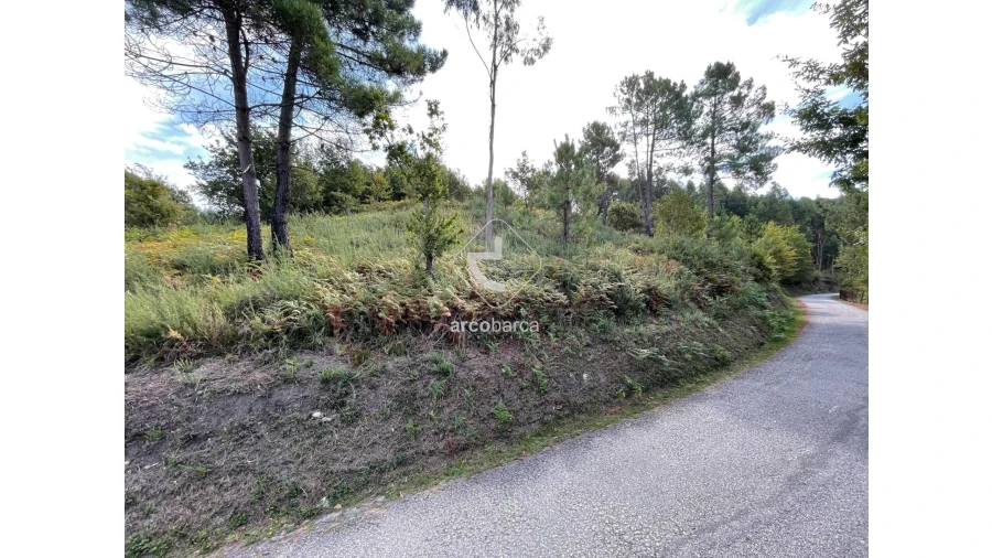 Terreno para Venda em Azere Foto 4