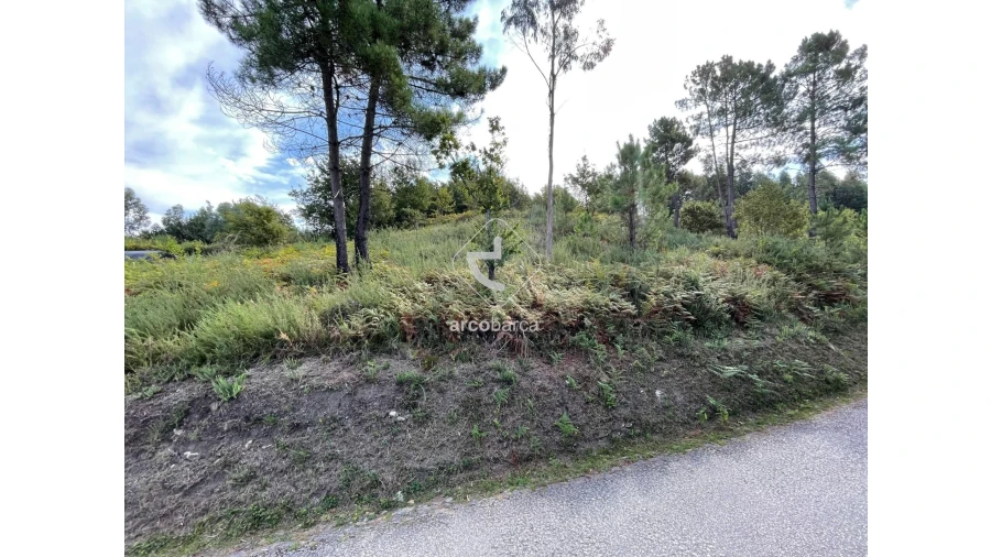 Terreno para Venda em Azere Foto 3