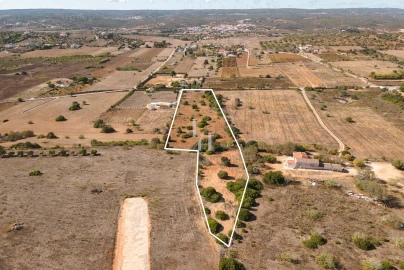 Terreno para Venda em Luz