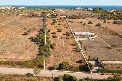 Terreno para Venda em Luz