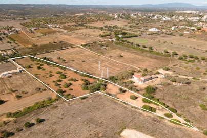 Terreno para Venda em Luz