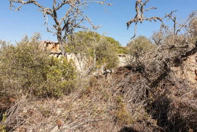 Terreno para Venda em Luz