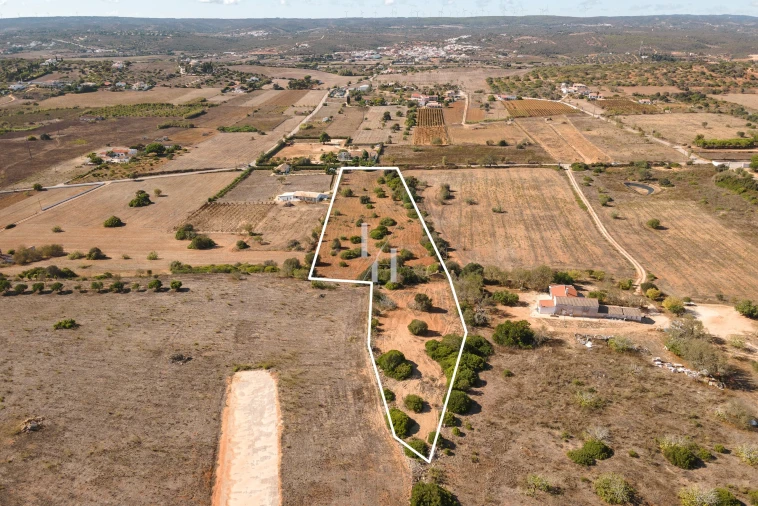 Terreno para Venda em Luz Foto 5