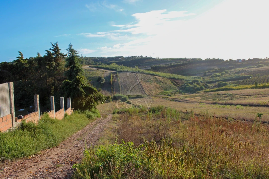 Terreno para Venda em Bombarral e Vale Covo Foto 4