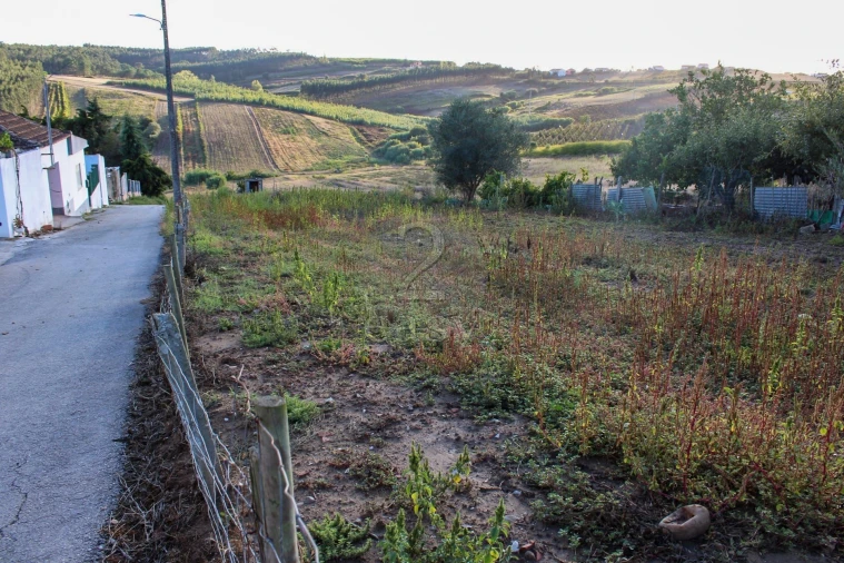 Terreno para Venda em Bombarral e Vale Covo Foto 10