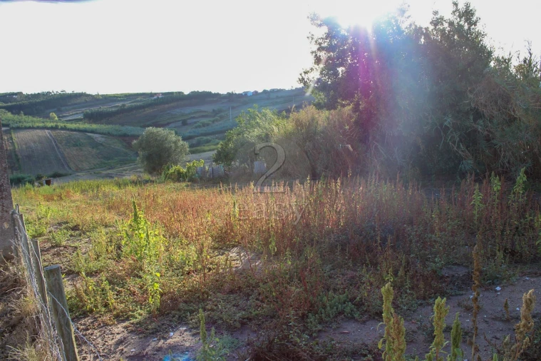 Terreno para Venda em Bombarral e Vale Covo Foto 11