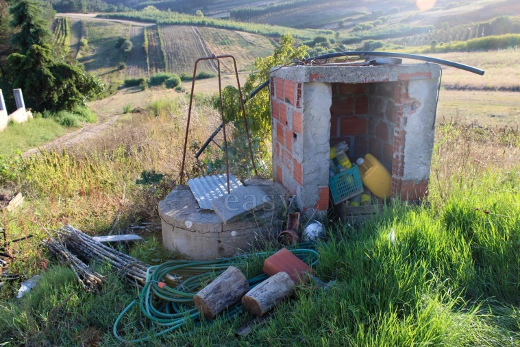 Terreno para Venda em Bombarral e Vale Covo Foto 5