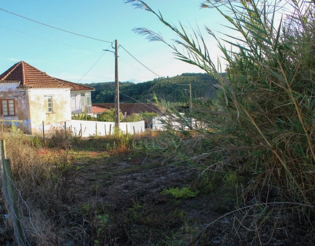 Terreno para Venda em Bombarral e Vale Covo Foto 21