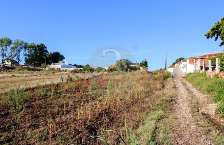 Terreno para Venda em Bombarral e Vale Covo Foto 19