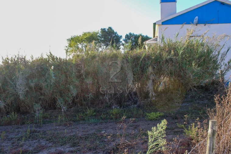 Terreno para Venda em Bombarral e Vale Covo Foto 15
