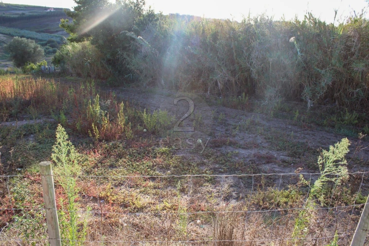 Terreno para Venda em Bombarral e Vale Covo Foto 18