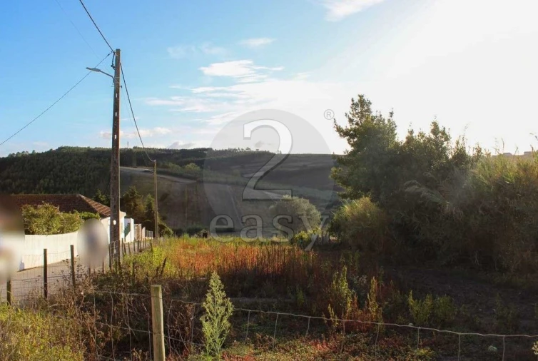 Terreno para Venda em Bombarral e Vale Covo Foto 20