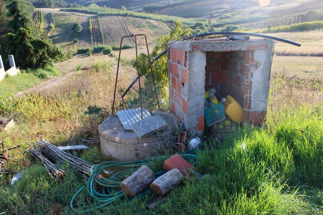 Terreno para Venda em Bombarral e Vale Covo Foto 5