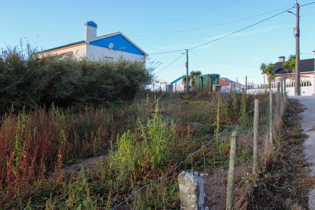 Terreno para Venda em Bombarral e Vale Covo Foto 16