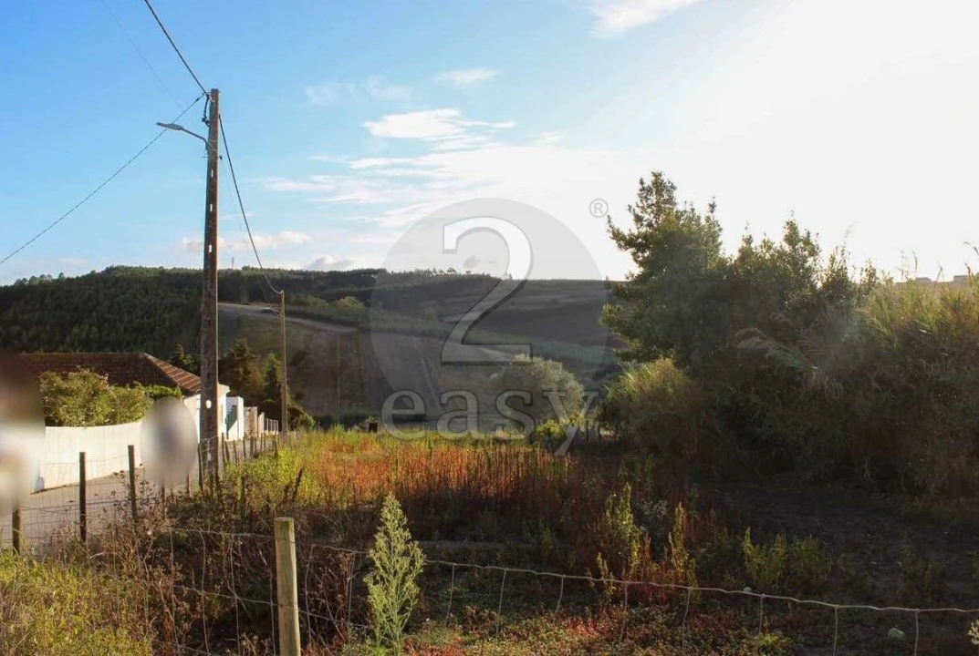 Terreno para Venda em Bombarral e Vale Covo Foto 20