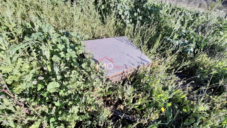 Terreno Agricola ou Rústico para Venda em São Salvador da Aramenha Foto 5