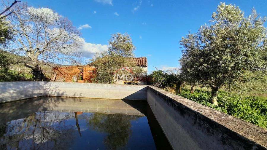 Terreno Agricola ou Rústico para Venda em São Salvador da Aramenha Foto 4