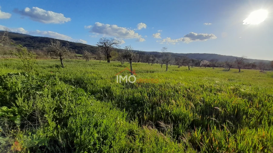 Terreno Agricola ou Rústico para Venda em São Salvador da Aramenha Foto 3