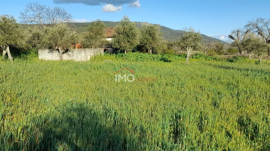 Terreno Agricola ou Rústico para Venda em São Salvador da Aramenha Foto 2