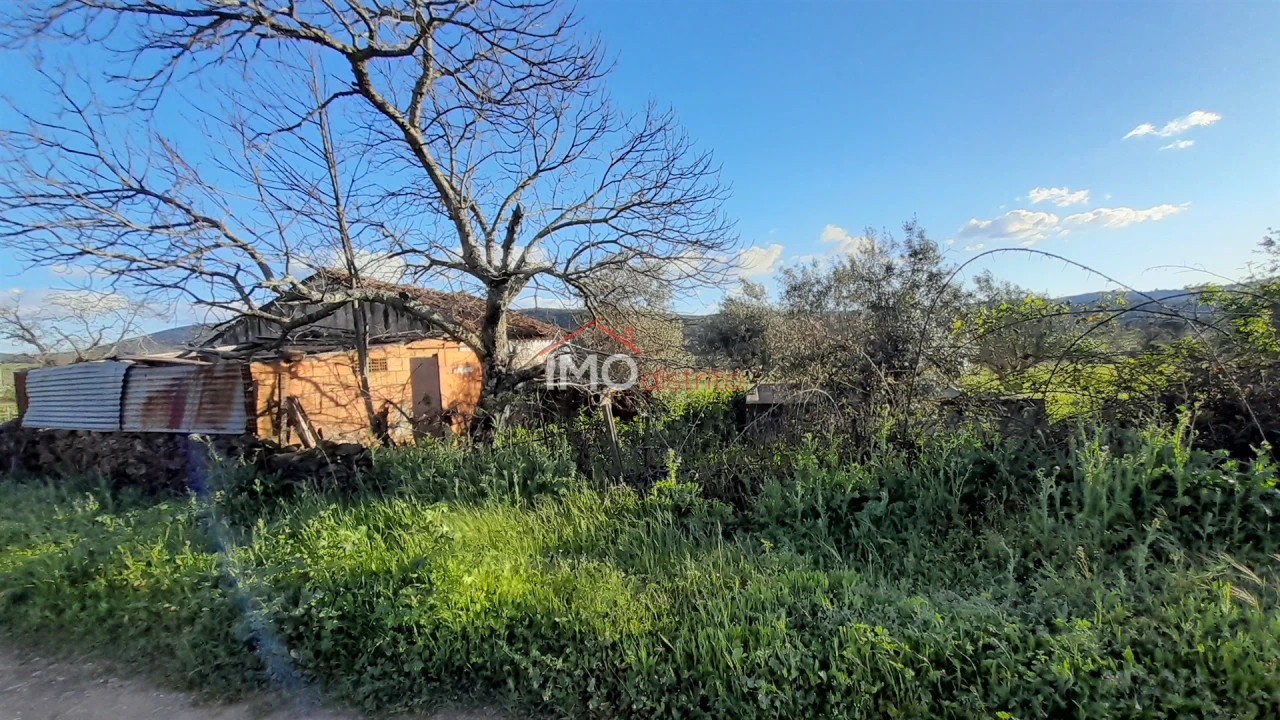 Terreno Agricola ou Rústico para Venda em São Salvador da Aramenha Foto 1