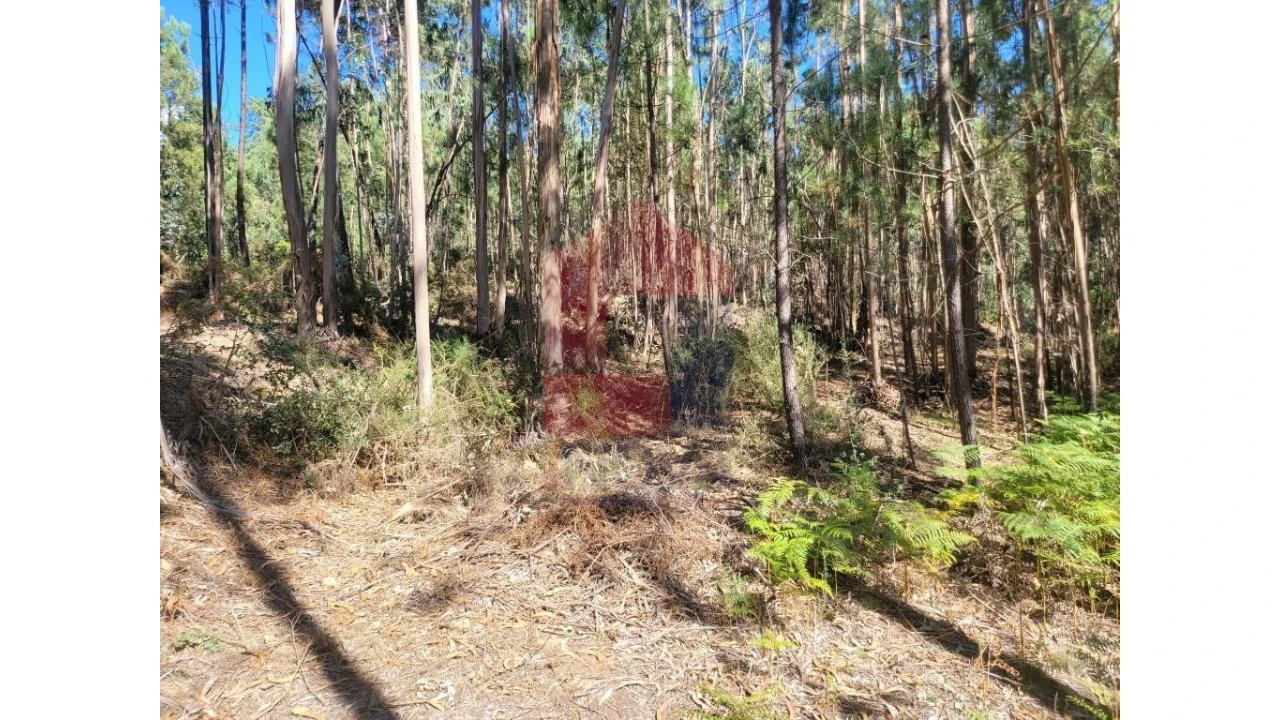 Terreno para Venda em Esqueiros, Nevogilde e Travassós Foto 11