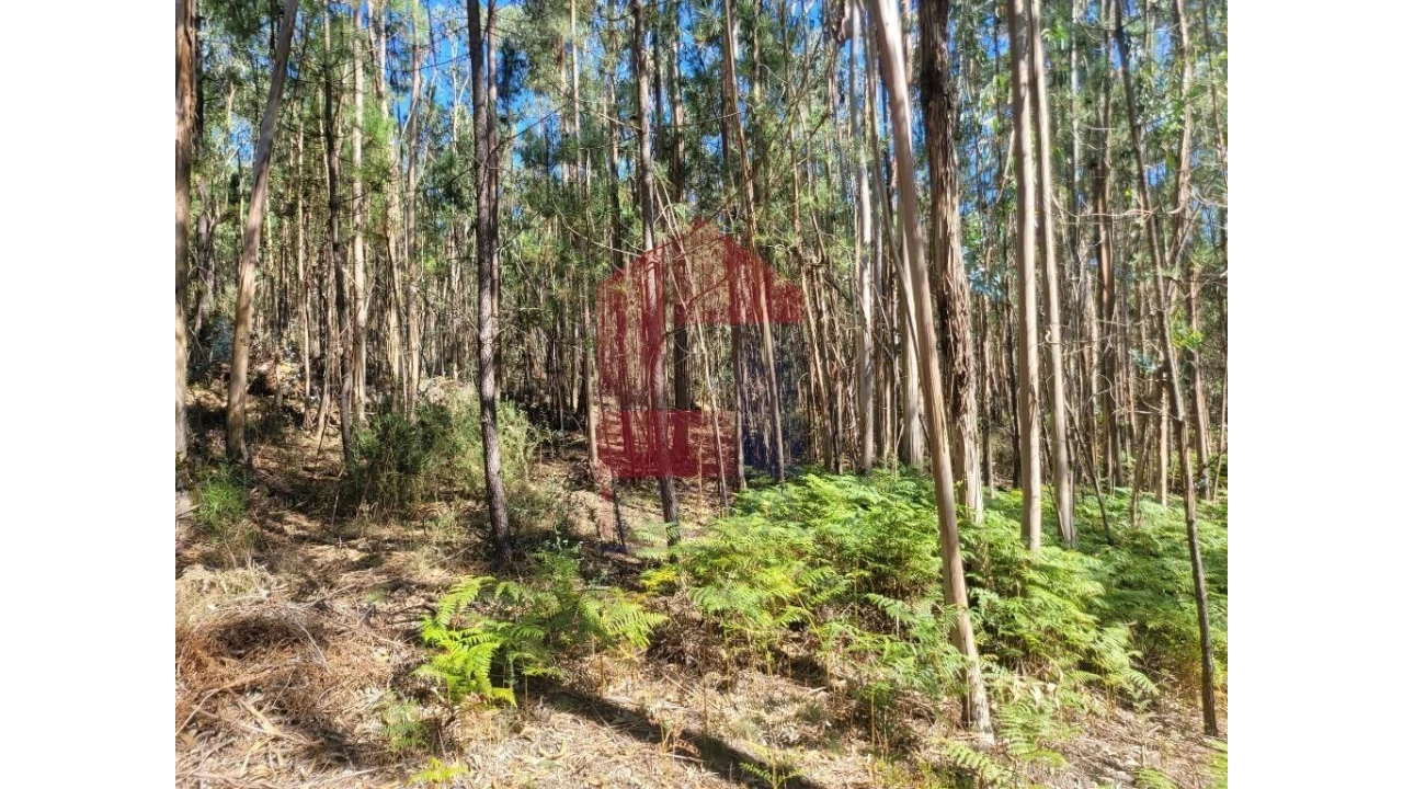 Terreno para Venda em Esqueiros, Nevogilde e Travassós Foto 10