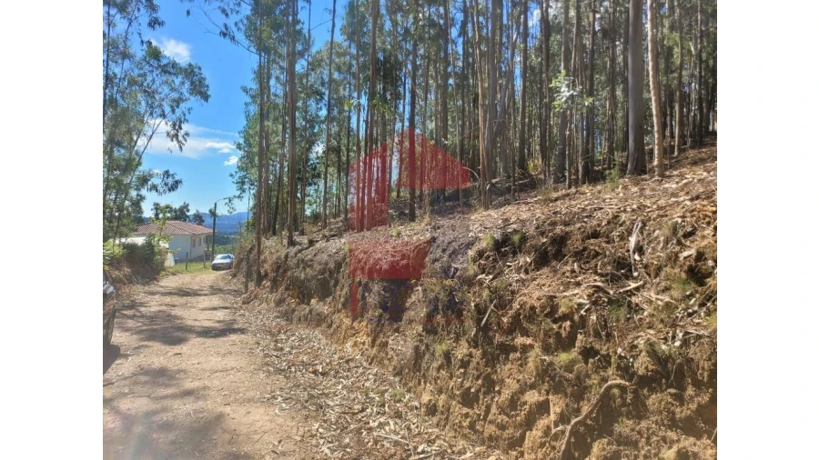Terreno para Venda em Esqueiros, Nevogilde e Travassós Foto 1