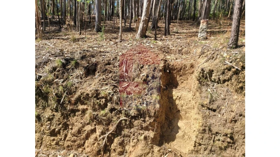 Terreno para Venda em Esqueiros, Nevogilde e Travassós Foto 9