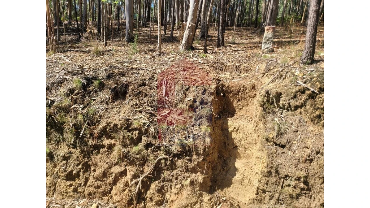 Terreno para Venda em Esqueiros, Nevogilde e Travassós Foto 9