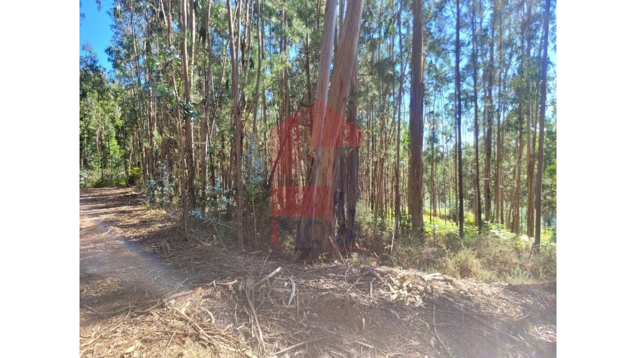 Terreno para Venda em Esqueiros, Nevogilde e Travassós Foto 2