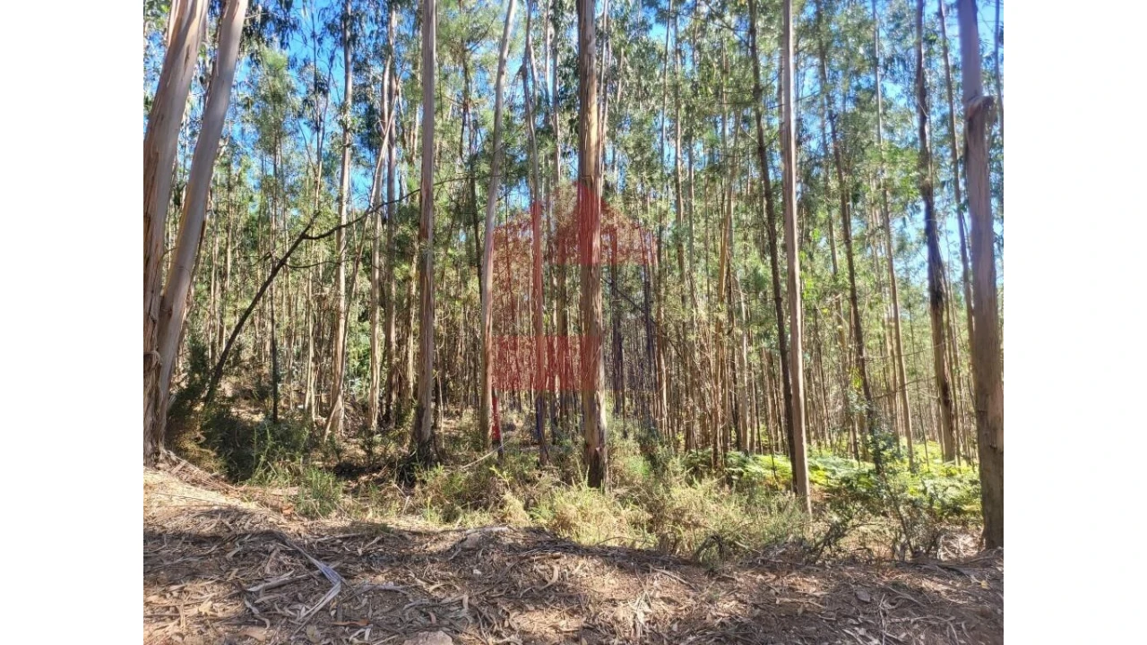 Terreno para Venda em Esqueiros, Nevogilde e Travassós Foto 8