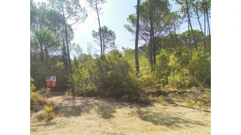 Terreno para Venda em Cernache