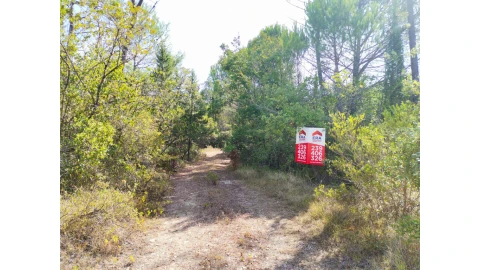 Terreno para Venda em Cernache