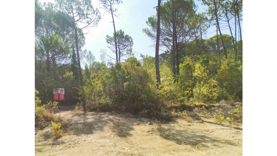 Terreno para Venda em Cernache Foto 5