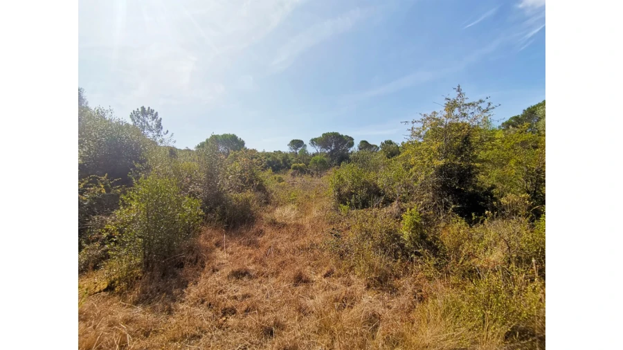 Terreno para Venda em Cernache Foto 2