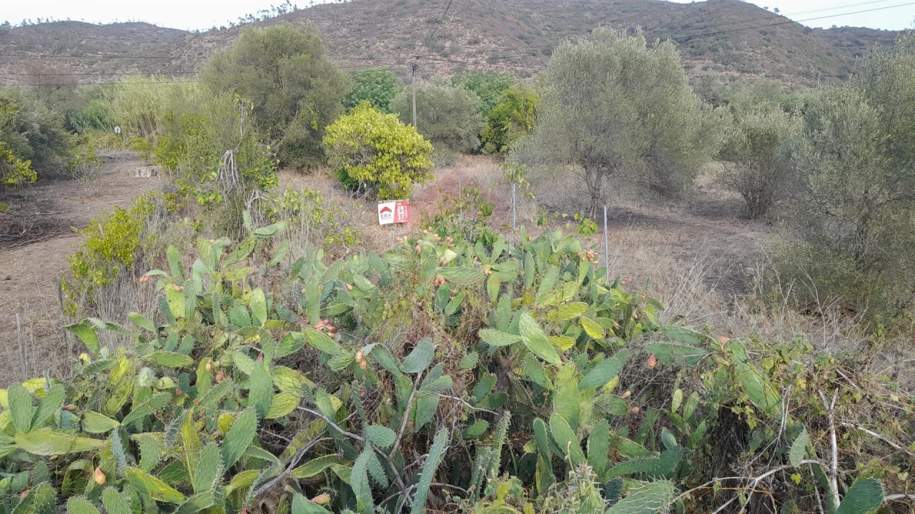 Terreno para Venda em Alcoutim e Pereiro Foto 3