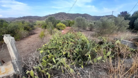Terreno para Venda em Alcoutim e Pereiro