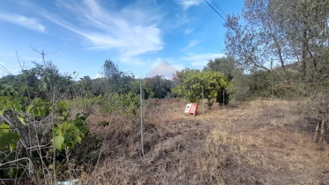 Terreno para Venda em Alcoutim e Pereiro