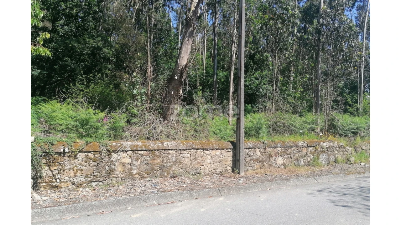 Terreno para Venda em Bagunte, Ferreiró, Outeiro Maior e Parada Foto 4