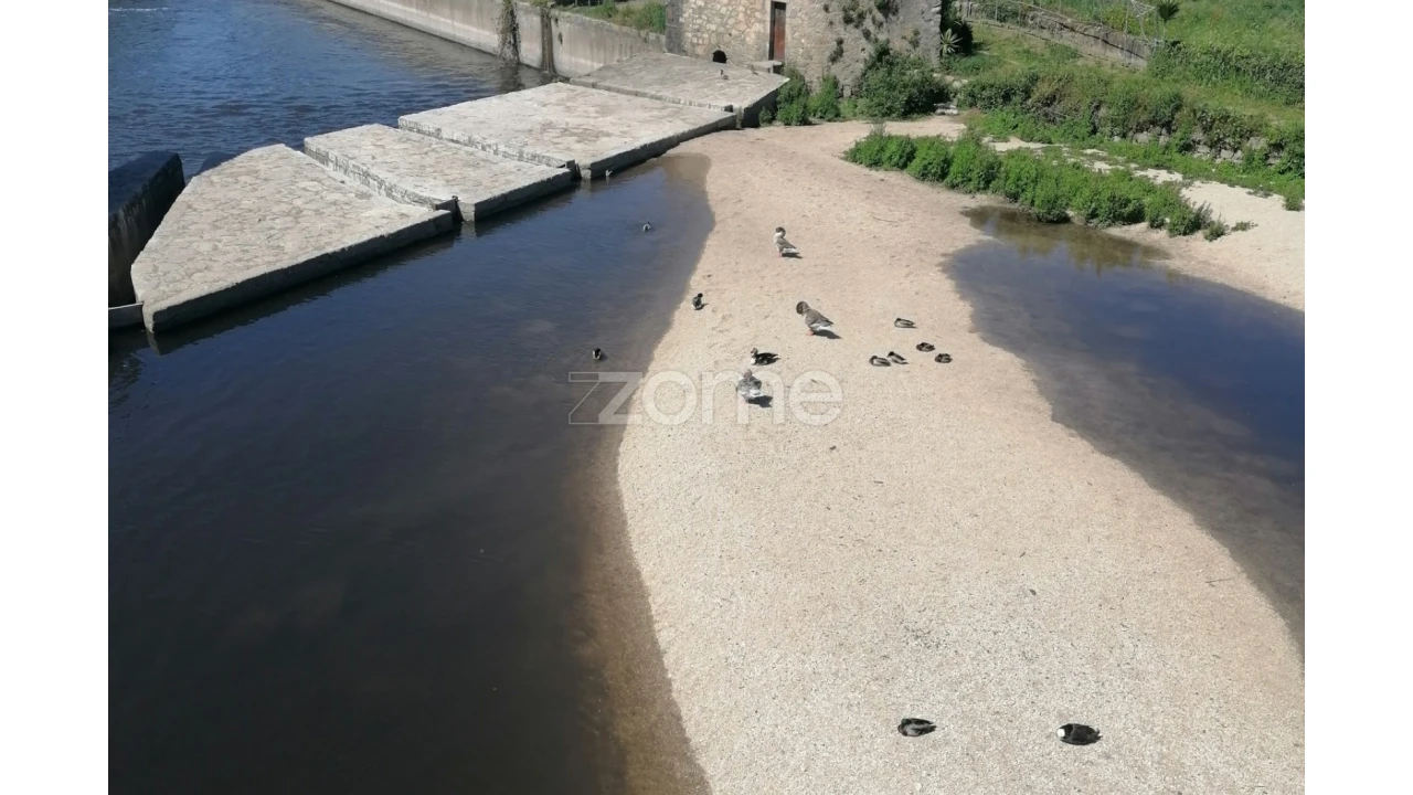 Terreno para Venda em Bagunte, Ferreiró, Outeiro Maior e Parada Foto 19