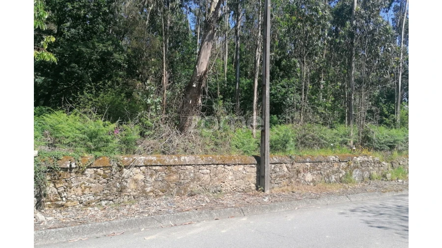 Terreno para Venda em Bagunte, Ferreiró, Outeiro Maior e Parada Foto 4