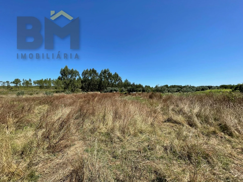Terreno Agricola ou Rústico para Venda em Freixial e Juncal do Campo Foto 2