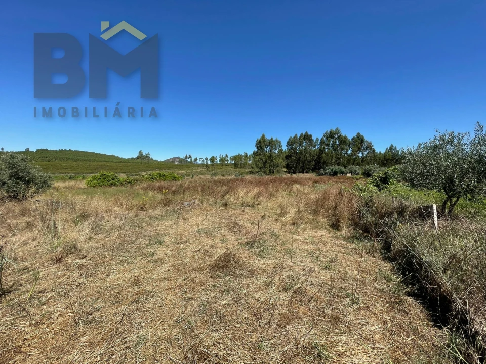 Terreno Agricola ou Rústico para Venda em Freixial e Juncal do Campo Foto 3
