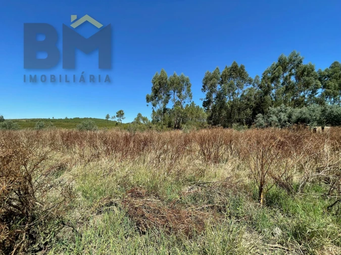 Terreno Agricola ou Rústico para Venda em Freixial e Juncal do Campo Foto 4