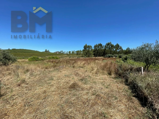 Terreno Agricola ou Rústico para Venda em Freixial e Juncal do Campo Foto 3