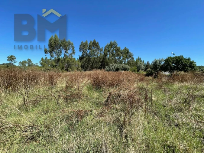 Terreno Agricola ou Rústico para Venda em Freixial e Juncal do Campo Foto 5