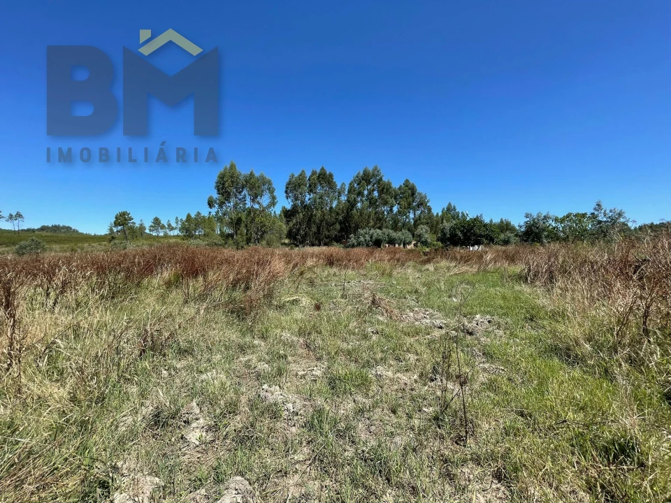 Terreno Agricola ou Rústico para Venda em Freixial e Juncal do Campo Foto 7