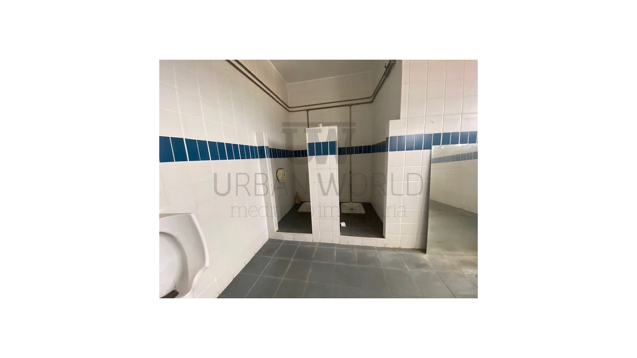 Armazém para Venda em Malveira e São Miguel de Alcainça Foto 41